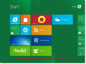 Logon Windows 8