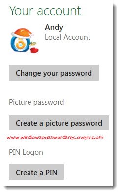 Windows 8 Password