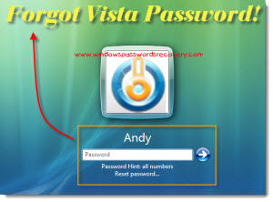 Forgot Vista Password