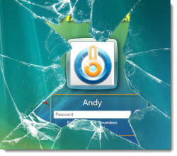 Reset Vista Password