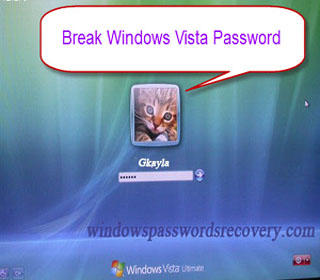 login as admin vista