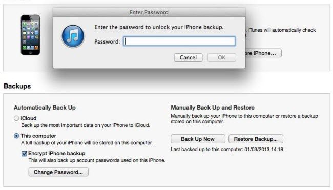 enter the password to unlock your iphone backup file