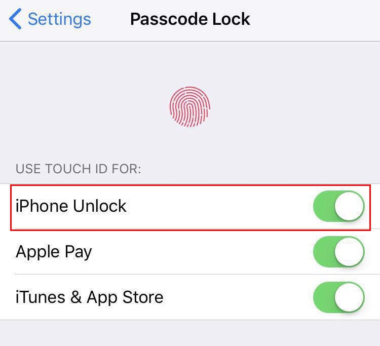 passcode lock